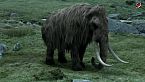 ¿Cómo y cuándo murió el último mamut?
