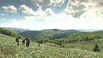 Transilvania - Belleza y riqueza cultural - Un tesoro cultural
