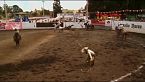 El charro