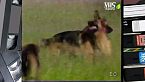 La nuova enciclopedia de Il Cane