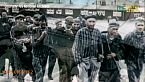 Auschwitz: La Verità Contro la Negazione della Storia