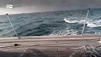 Las orcas atacan: Peligro en el estrecho de Gibraltar