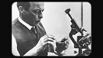 Storia dell'animazione sovietica e in Russia