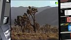 Vita nel deserto di Mojave