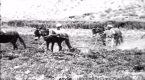 Sucedio en el Hualfín - Argentina