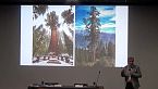 Antonio Brunori - Storie di uomini e alberi e di sensibilità incrociate