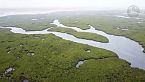 PANTANAL SELVAGGIO | Sopravvivere all'estremo nel cuore delle paludi