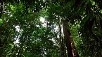Amazzonia: un popolo dimenticato | Indagini archeologiche