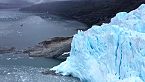 Documental: Explorando La Vida Invisible del Océano