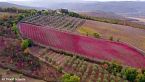 Toscana