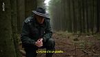 Belgio: il cinghiale 'ospite' indesiderato