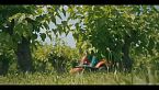 Torna il Bio Film Festival: cortometraggi sulla biodiversità