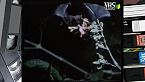 Pipistrelli i radar della natura