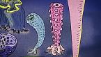 ¿Cómo era la Tierra hace 500 millones de años? | Documental Historia de la Tierra