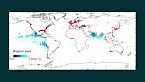 Il problema degli oceani di cui non parla nessuno