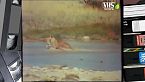Etosha, l'acqua e il deserto