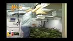 La vera storia della marijuana