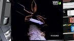 Il mondo di Quark - RAGNATELE E ALTRE TRAPPOLE