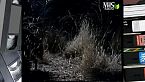 I misteriosi abitanti della notte di Kalahari