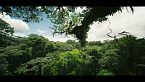 Mundos tropicales