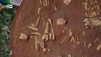 El neandertal y nosotros