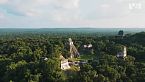 Giungla del Chiapas - Sopravvivenza estrema nella letale giungla dell’America Centrale