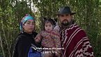 Jardín Infinito/ Mapuche, Chile