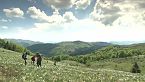 Transilvania - Belleza y Riqueza Cultura | Vida Medieval