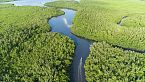 Naturaleza oculta en Guinea Bisau - Biodiversidad africana