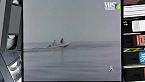 Il viaggio delle balene