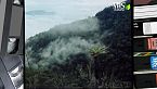 Gli uccelli del paradiso e dell'inferno