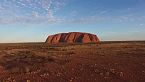 Australia: Insectos asombrosos