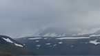 Islandia - La isla recién nacida | Fauna Ártica