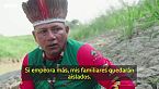 Ríos secos y delfines muertos: las imágenes que muestran el avance de la sequía en el Amazonas
