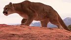 UTAH | La Battaglia per Sopravvivere nell’Inferno Rosso del Selvaggio West Americano