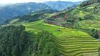 Mu Cang Chai