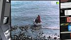 Gli uccelli acquatici