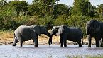 SAVANA INDOMABILE - Il Cuore dell’Africa Selvaggia