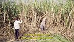 India: le terra delle donne senza utero