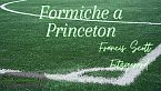 Formiche a Princeton - Francis Scott Fitzgerard