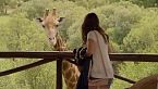 Love on safari