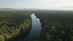Rio Amazonas Salvaje | El Río que Mueve el Mund