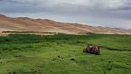MONGOLIA SALVAJE | Los Secretos del Gobi y las Monta&ntilde;as de Alt&aacute;i