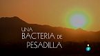 Una bacteria de pesadilla