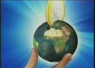 Caldaie istruzioni per l'uso