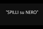 14)- Spilli su nero - 50 ore film Bologna 2006