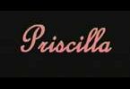 Sfida 04 - VideoArena: Priscilla