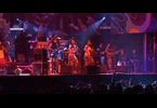 Steel Pulse