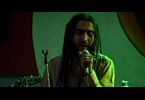 Red Stripes - Rototom Sunsplash 2006